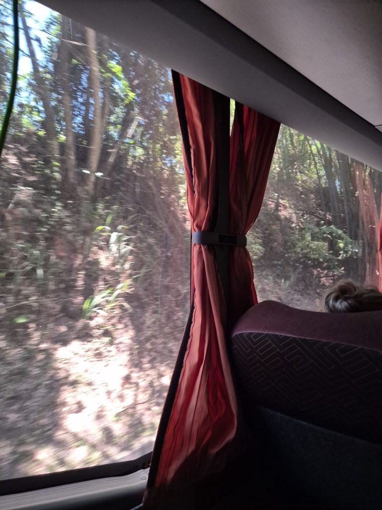 20241126_1140283586671152656386277