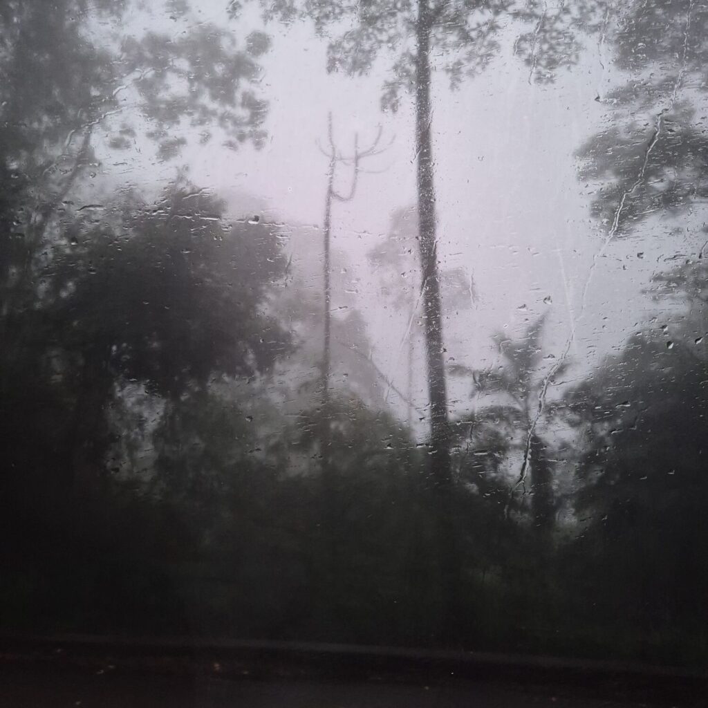 20241223_1142447307563512975638157