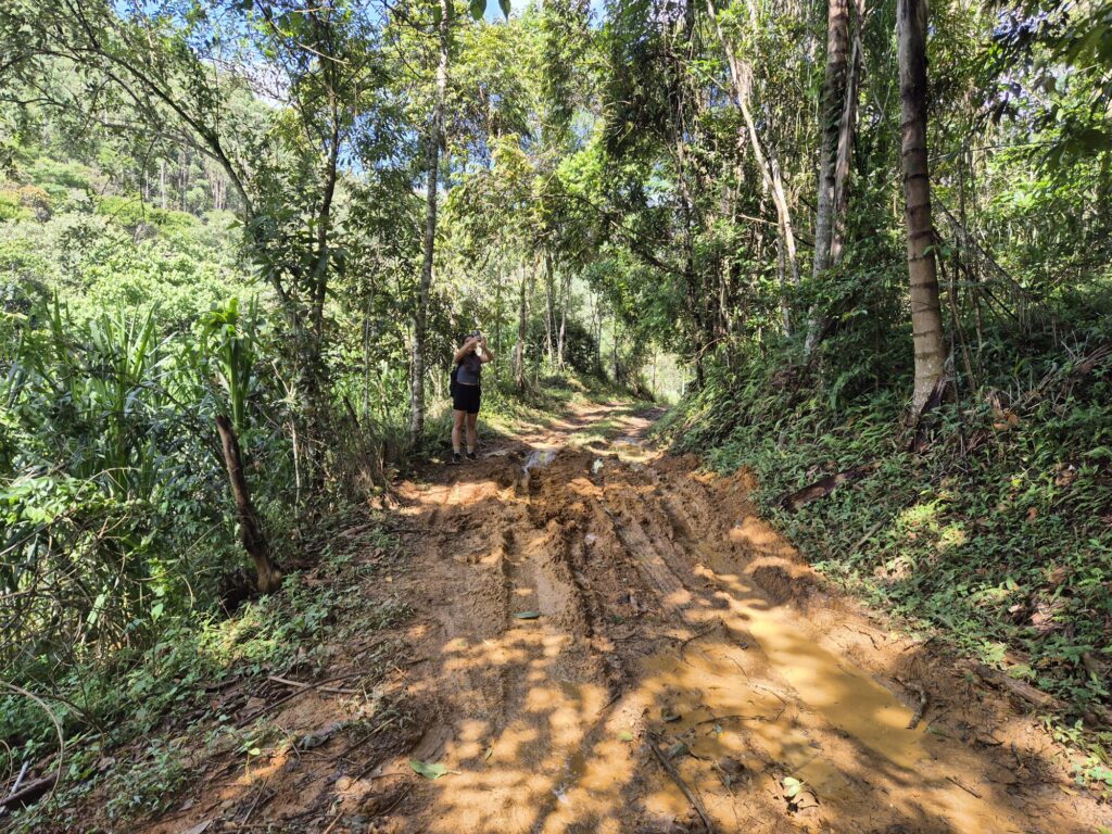 20250117_0917306151975065501453842